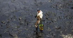 Derrame de crudo en Ventanilla: es imposible reanudar la pesca a dos años del ecocidio de Repsol