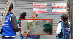 Clausuran panadería de Trujillo que preparaba panetones en el baño y con presencia de insectos