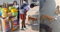 Escolares reciclan botellas y latas para costear curaciones y comida de animales callejeros en Trujillo
