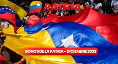 Bonos de la Patria HOY: estos son los subsidios que llegarán para diciembre 2023