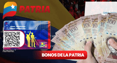 Nuevos Bonos de la Patria: COBRA HOY estos bonos en diciembre 2023