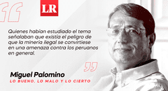Es necesario reinformarse, por Miguel Palomino