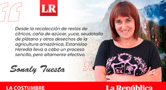 La mosca soldado negra, por Sonaly Tuesta