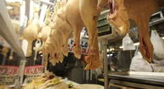 Inflación en 2023 fue apalancada por alimentos, educación y servicios hoteleros