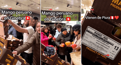 Mango peruano es una sensación en Suiza y usuarios quedan asombrados por el precio: “De Piura para el mundo”