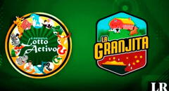 Resultados Lotto Activo y La Granjita EN VIVO: revisa los datos explosivos para HOY, 5 de enero