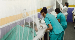 Dengue amenaza nuevamente a la salud pública en el Perú