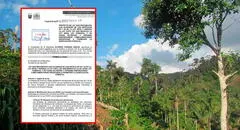 Congresista Alfredo Pariona presenta proyecto para derogar modificaciones a Ley Forestal