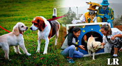 Los 12 parques para perros en Lima: tienen juegos especiales para mascotas y rejas de seguridad
