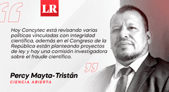 Emprendimientos fraudulentos, por Percy Mayta-Tristán