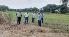 Agrobanco deberá desembolsar S/1.000 millones para agricultores en Piura: ¿a cuántos beneficiarán?