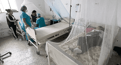 2024 se inició con altas cifras de dengue: 35% más que el año anterior