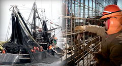 Pesca y consumo de cemento cerraron el 2023 en rojo