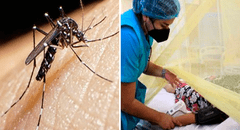 ¿Cuáles son las mejores medidas para prevenir el dengue y cómo diferenciarlo de una gripe?