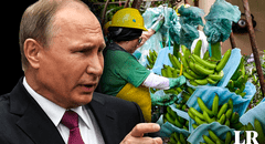 Ecuador podría perder a Rusia como cliente de plátanos tras apoyo a Estados Unidos