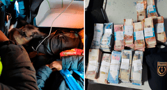 Perro adiestrado de la Sunat detecta medio millón de soles no declarados en minibús de pasajeros