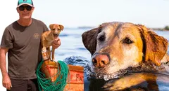 'Vaguito', el 'Hachiko Peruano': ¿cuándo se estrena la película basada en una dramática historia real?