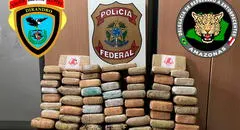 Incautan cargamento de marihuana ‘Skunk’,  que iba a ser entregado al Comando Vermelho