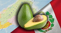 Conoce el país de AMÉRICA LATINA en donde se origina el aguacate: no es PERUANO