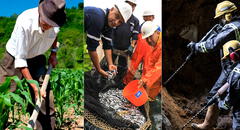 Trabajadores de agricultura, pesca y minería ganan por debajo del sueldo mínimo