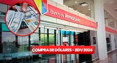Banco de Venezuela 2024: ¿cómo comprar y vender dólares? Guía fácil