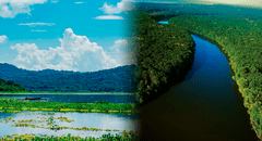 El único río del mundo con acceso a 2 océanos: está en América Latina y desemboca en el Atlántico y Pacífico