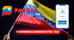 Monedero Patria 2024: ¿por qué no puedo transferir dinero a familiares?