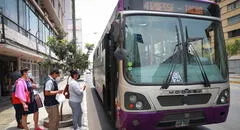 ¿Corredor Morado incumplió su contrato con la ATU? Gremio de transportistas de Lima se pronuncia