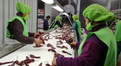 Se perdieron 200.000 empleos en el sector exportación durante 2023