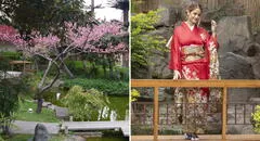 ¿Un jardín japonés GRATIS en Lima? Conoce dónde queda y cómo llegar