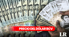 Dólar BCV HOY, jueves 29 de febrero ¿cuál es el precio del dólar en Venezuela?