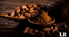 Ni México ni Perú: descubre el país de Sudamérica donde nació el cacao, según estudio