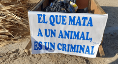Piura: Policía detiene a hombre tras ultrajar y causar la muerte a una perrita