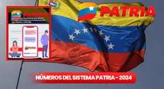 Sistema Patria 2024: ¿dónde enviar la palabra 'bono' para recibir el subsidio?