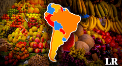 Descubre el ÚNICO país de Sudamérica entre los 5 mayores exportadores de fruta en el mundo