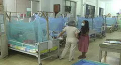 Dengue en Lambayeque: en lo que va del año, se reporta casi 4.000 casos y 12 fallecidos