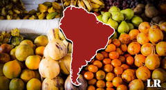 Conoce la fruta producida en Sudamérica cuya demanda en Países Bajos y EE.UU. se disparó un 448%
