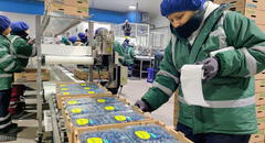 Agroexportaciones sumaron US$1.862 millones en el primer bimestre del año 2024