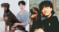 Jungkook de BTS crea cuenta de Instagram para su mascota Bam y consigue 2 millones de seguidores