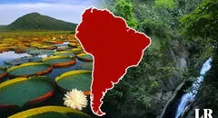 Descubre qué país de Sudamérica tiene la segunda mayor cantidad de bosques del mundo