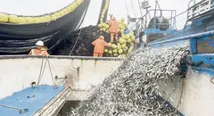 MEF considera que la economía se viene recuperando: ¿cuáles son las razones?