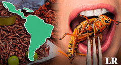 El país que consume más insectos en Latinoamérica y es top 3 en el mundo: comen gusanos, moscos y hormigas