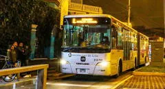 Bus lechucero del METROPOLITANO: estas son las únicas 8 estaciones que brindan este servicio