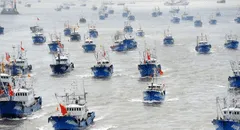 Produce multó solo por S/250 a barco chino que pescó ilegalmente en mar peruano, denuncia gremio