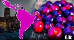 La fruta 'cereza de los indios', originaria de Norteamérica, es un tesoro nutricional que previene el párkinson y alzheimer