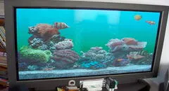 ¿Qué sucedió con los televisores plasma que fueron todo un boom y que ahora pocos recuerdan?