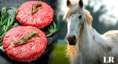 Este país de Sudamérica es el principal exportador de carne de caballo en el MUNDO: la vende, pero no la consume