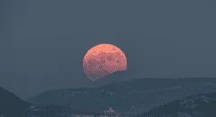 Luna de Fresa 2024: cuándo se verá el evento astronómico de junio que llega con el invierno en Sudamérica