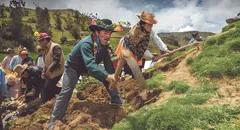 ¿Es feriado el 24 de junio por el Día del Campesino? Esto dice El Peruano