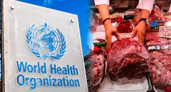 La lista de alimentos que podrían causar cáncer, según la OMS: recomienda regular su consumo